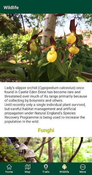Castle Eden Dene Visitor App Screenshot 2