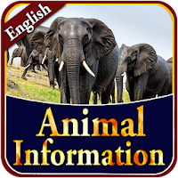 Animal Information in English