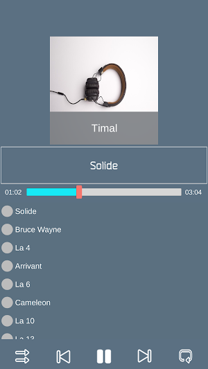 Timal Solide Screenshot 0