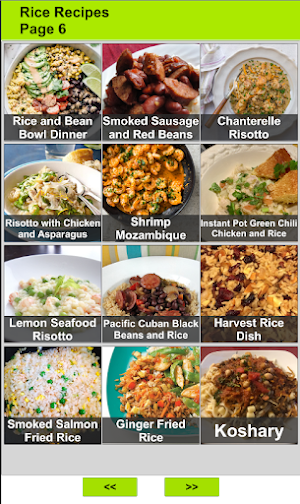 150 Rice Recipes Offline Screenshot 3