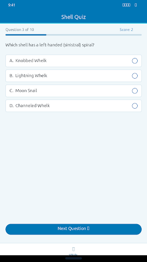 Seashell Identifier: ShellRef Screenshot 2