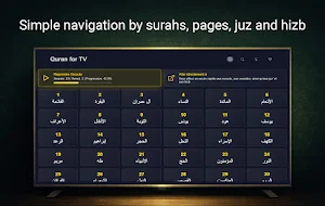 Quran TV Screenshot 0