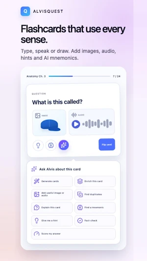 AlvisQuest: AI Flashcards Screenshot 3