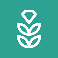 VPN Rice for Android TV