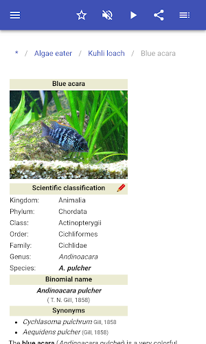 Aquarium fish Screenshot 3