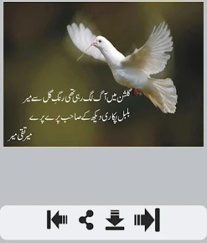 Meer Taqi Meer Shayari Screenshot 2