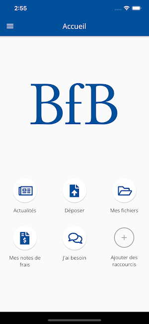 BFB Screenshot 0