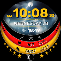 DM123 Tricolor Weather Face
