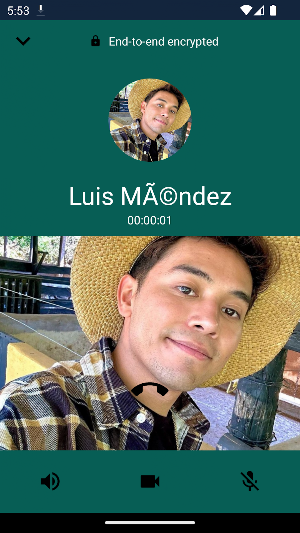 Luis Méndez Calling You Screenshot 3