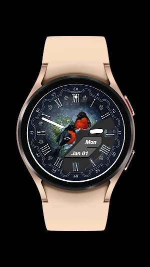 Bullfinches Watch Face Screenshot 1
