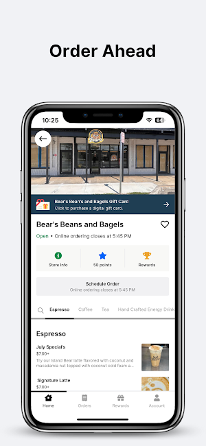 Bear's Screenshot 0