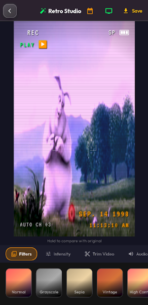Pixora: 90s Retro VHS Camera Screenshot 3
