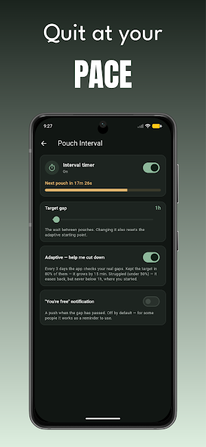 Quit Nicotine Pouches & Snus Screenshot 1