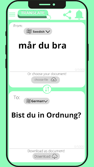 German - Swedish translator Screenshot 2