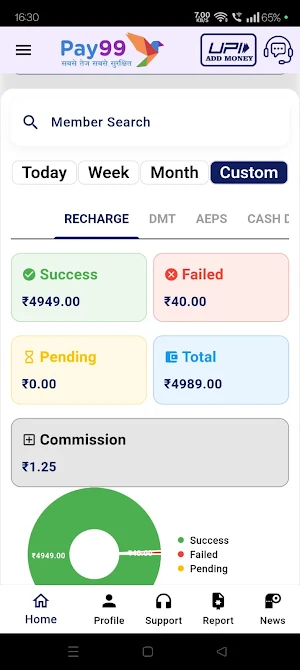 Pay99 2.O Screenshot 1