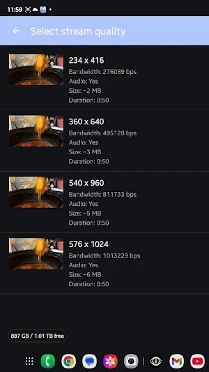 Seam Video Downloader Screenshot 1