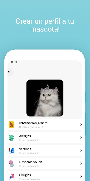 Dimu Screenshot 3