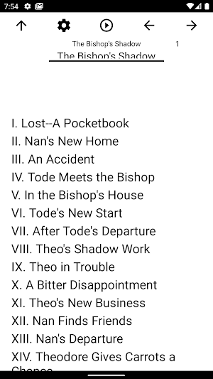 Book, The Bishop's Shadow Screenshot 0