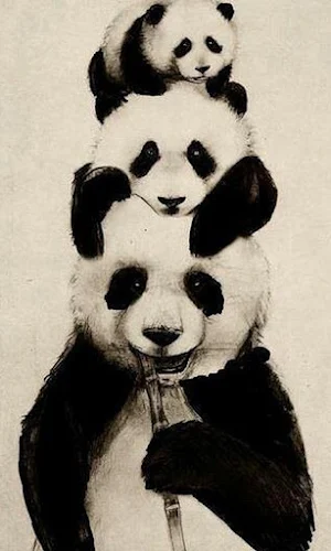 Panda Wallpapers Screenshot 3