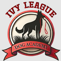 Ivy League Dog Training