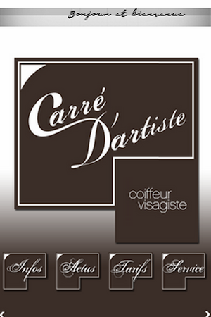 Carré D'artiste Screenshot 0