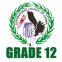 Past Papers for Grade 12
