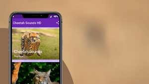 Cheetah Sounds - Best Cheetah Ringtones Screenshot 3
