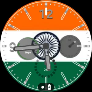 नई दिल्ली फ्लैग वॉचफेस Screenshot 0