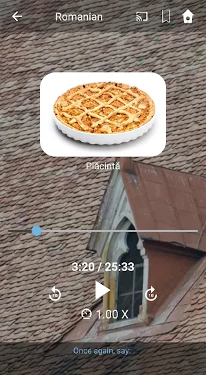 Learn Romanian. Speak Romanian. Study Romanian. Screenshot 1