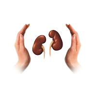Save The Nephrons