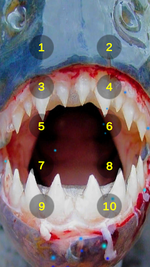 Piranha Teeth Chatter Sounds Screenshot 2