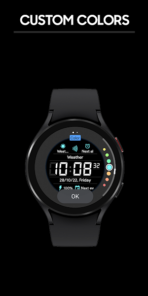 JHW Digital Informer Screenshot 3