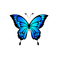 Morpho Health Coaching