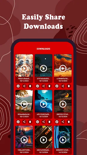 Pinterest Video Downloader Screenshot 3