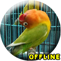 MP3 Lovebird Paud Offline