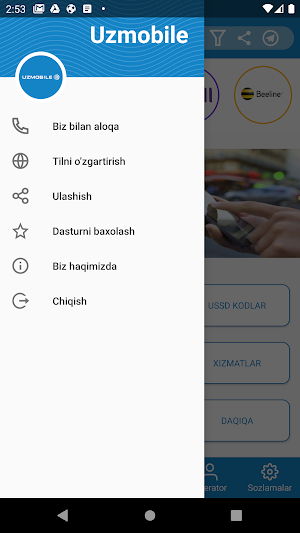 Mobile USSD Screenshot 2