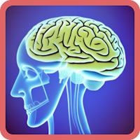 Brain vs Brain