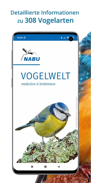 NABU Vogelwelt - Vögel Entdecken und Bestimmen Screenshot 0