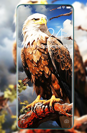Eagle wallpapers Screenshot 3
