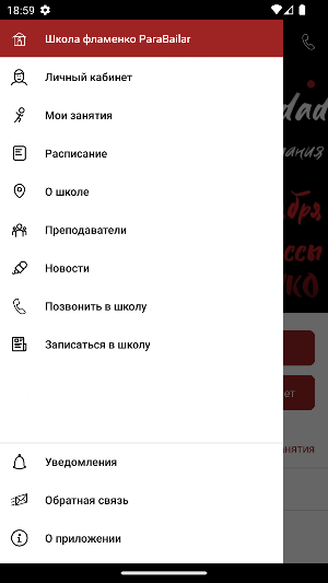 Школа фламенко ParaBailar Screenshot 2