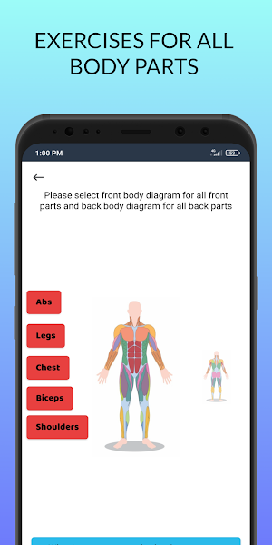 Gym Workout Offline Exercises Screenshot 1