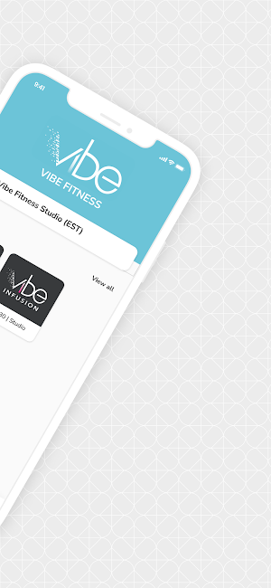 Vibe Fitness Inc Screenshot 1