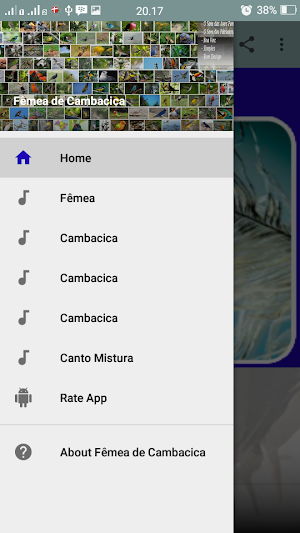 Canto Fêmea de Cambacica Screenshot 0
