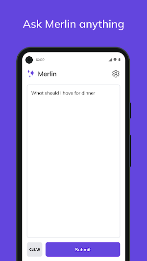 Merlin AI Screenshot 2