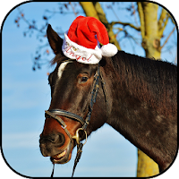 Animals christmas wallpapers