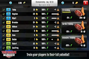 Touchdown Manager Screenshot 3