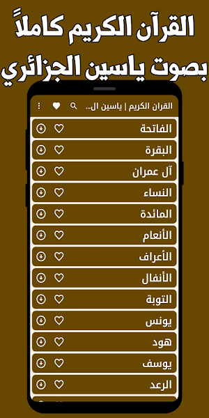 القران كامل الجزائري بدون نت Screenshot 0