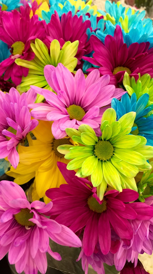 fondos de flores bonitas Screenshot 1