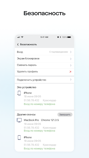 Директ Кредит Screenshot 2