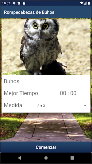 Rompecabezas de Buhos Screenshot 2